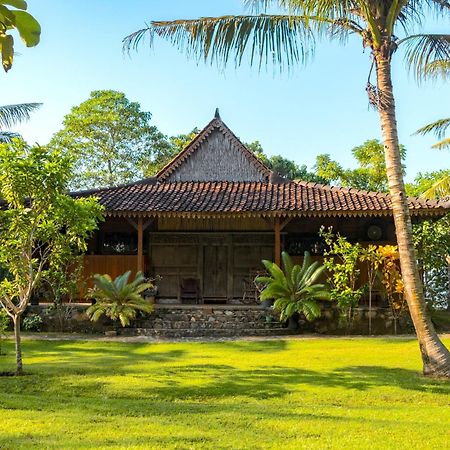 Villa Tengkek Karimunjawa Buitenkant foto