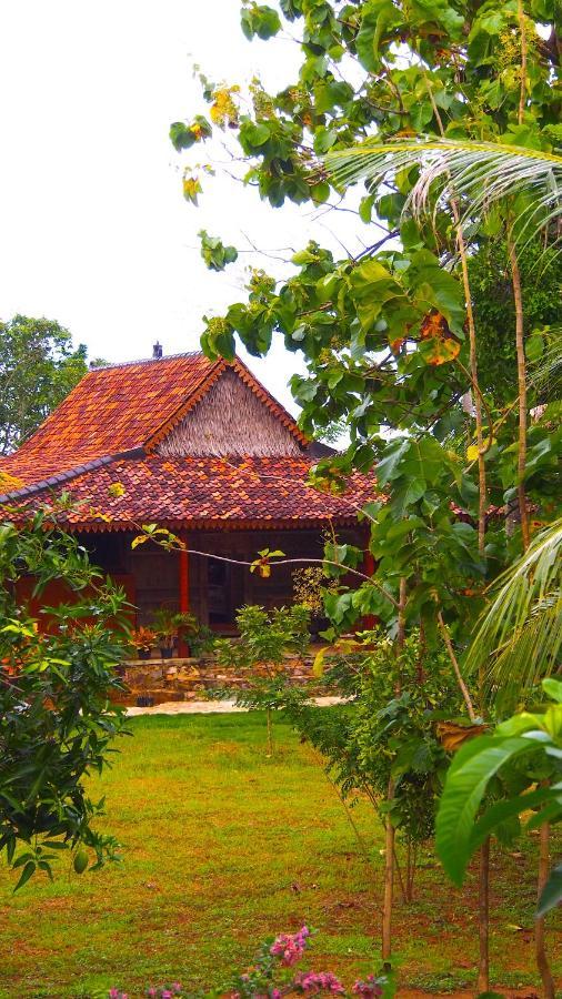 Villa Tengkek Karimunjawa Buitenkant foto